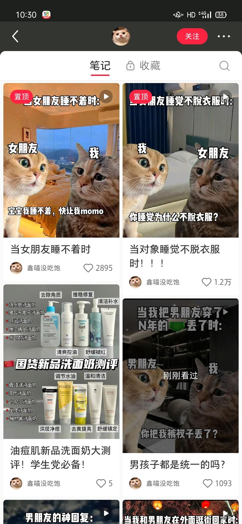 这个两个猫的视频真的很万金….-网创风向标论坛-网络创业-网创圈
