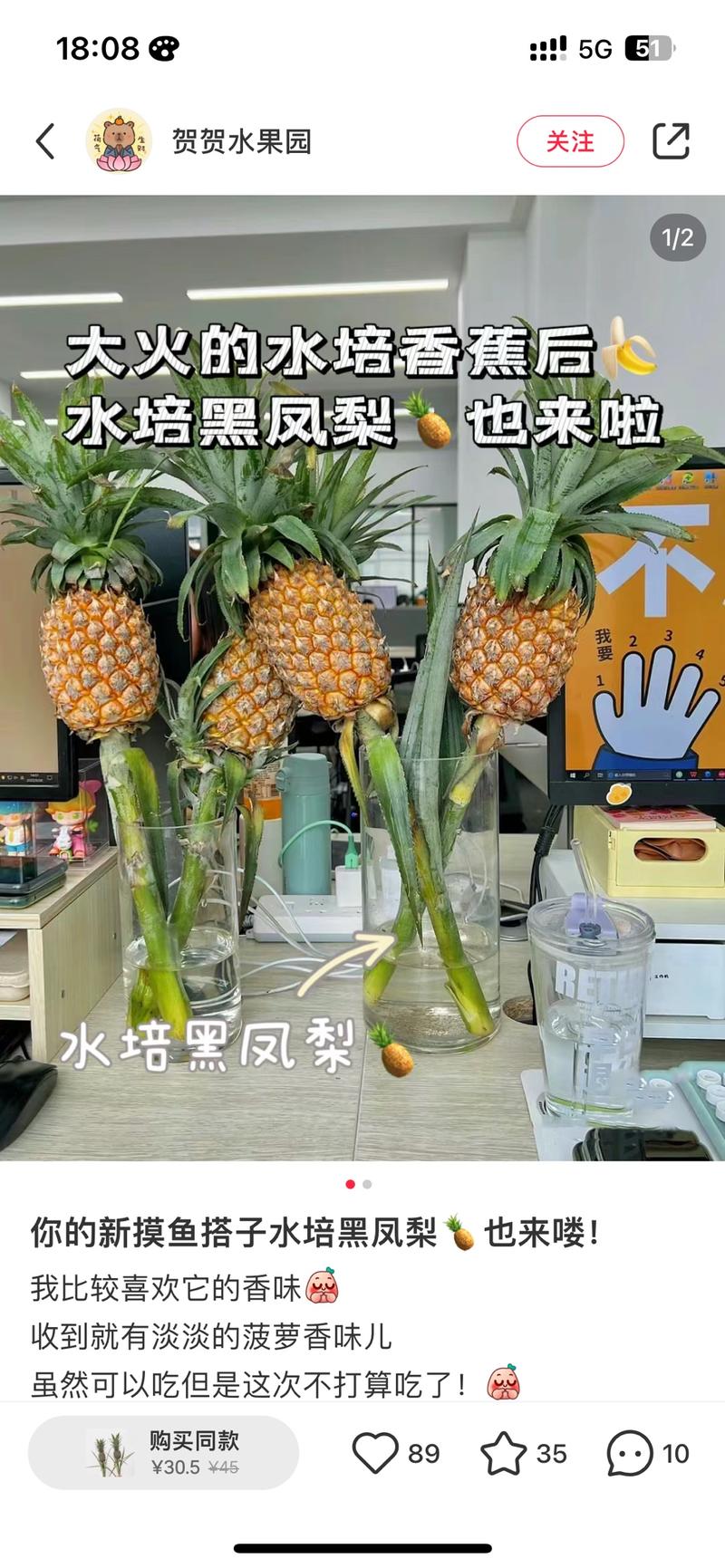 最近水培水果很火，我同事已经被成功种草了-网创风向标论坛-网络创业-网创圈