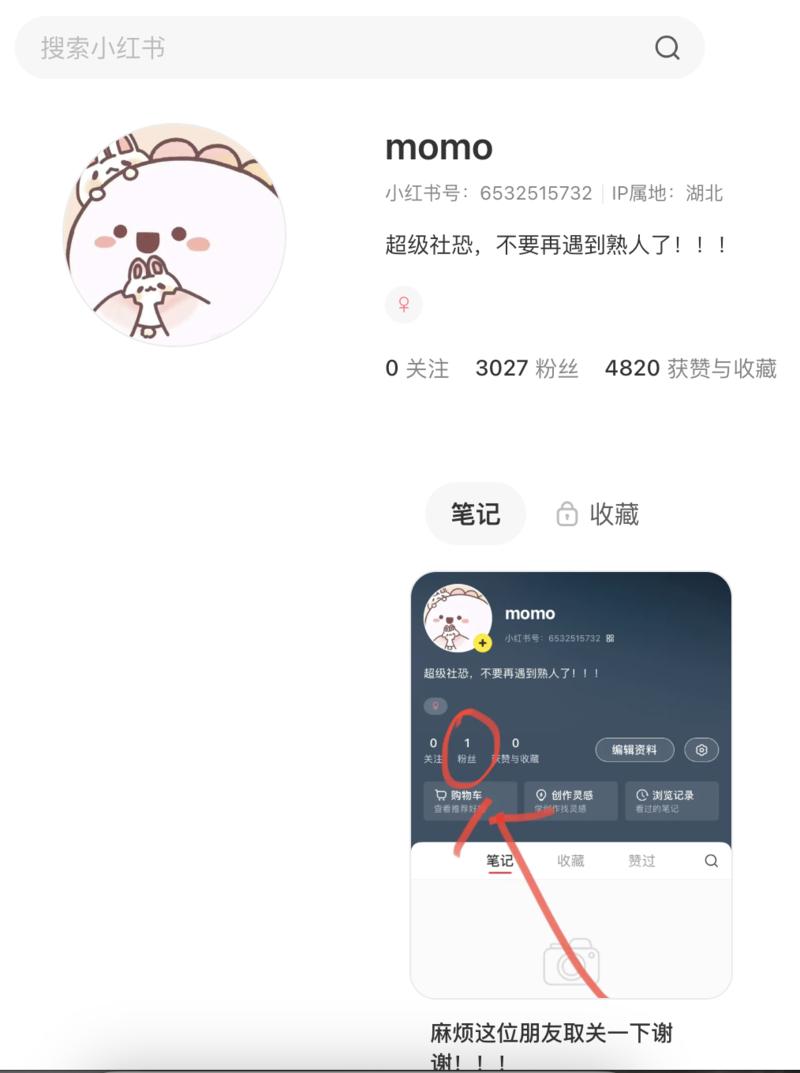 素人快速涨粉方式-网创风向标论坛-网络创业-网创圈