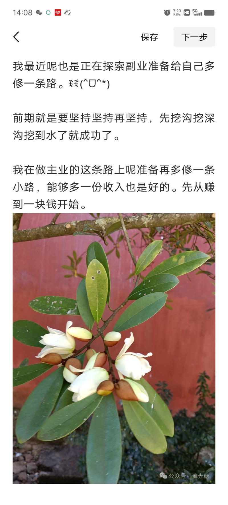 我昨天发现公众号不满300个字也可以标原创了。以前必须要满300个字以上才可以标原创。我今天又试写了一下，142个字。可以标原创了。-网创风向标论坛-网络创业-网创圈
