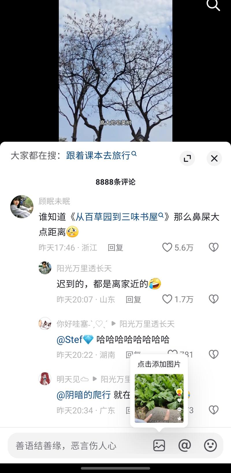 跟着课本去旅行  这个话题太适合最近这个时节了  旅游方向参考 直接找小学语文课本相关的课文-网创风向标论坛-网络创业-网创圈