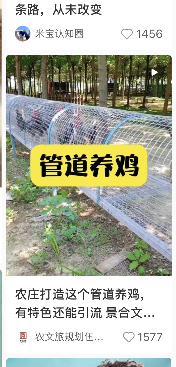 实体小院可用的一种方式，新奇有趣，能展示也是实实在在解决问。同理可以养一切小禽类，丰富小院的项目-网创风向标论坛-网络创业-网创圈