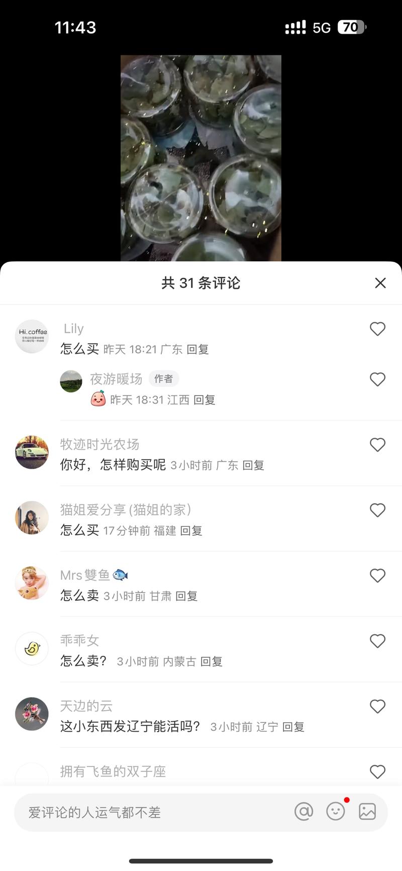 这个写的是一个自己繁殖萤….-网创风向标论坛-网络创业-网创圈