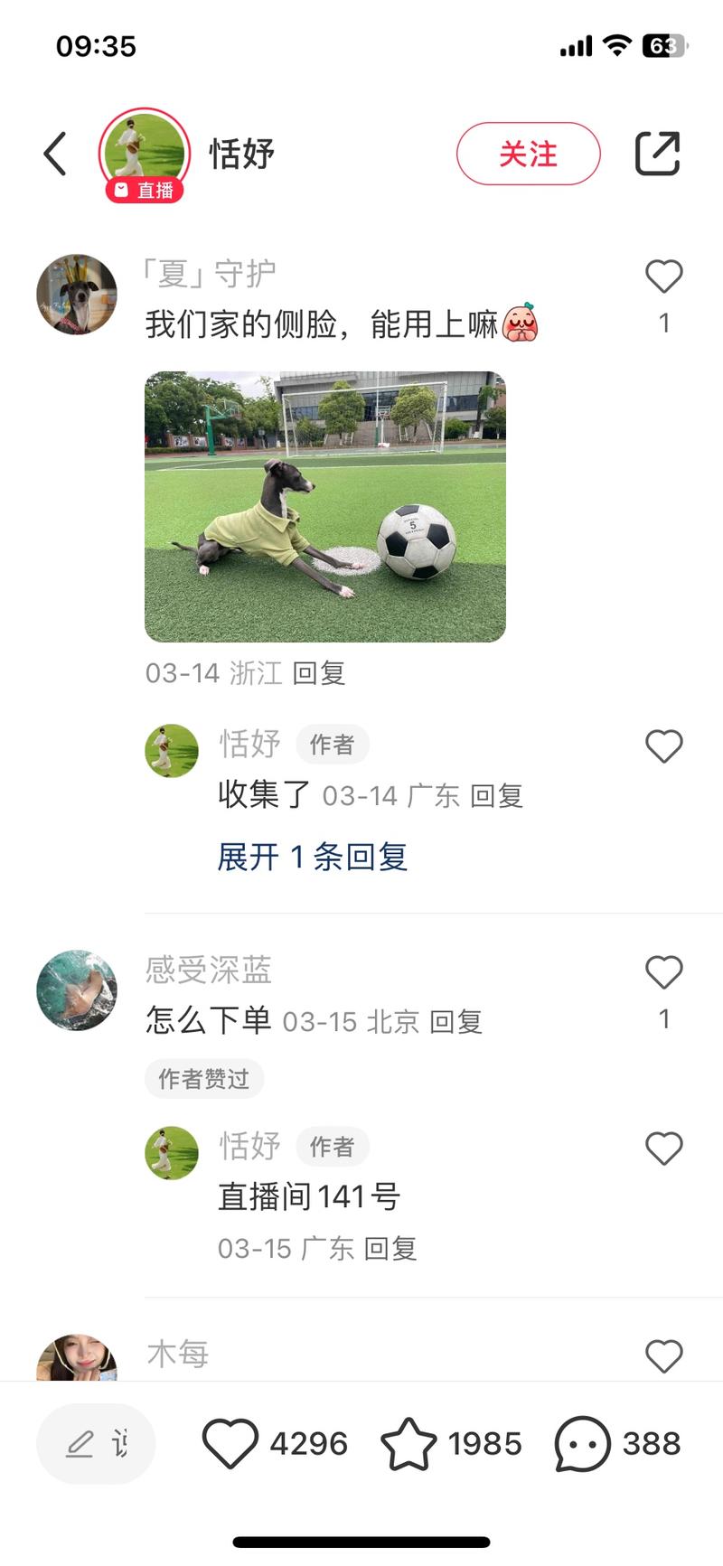 用自家宠物侧面照片做立体….-网创风向标论坛-网络创业-网创圈