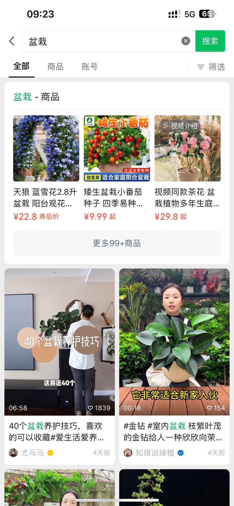 视频号卖盆栽，视频号和盆….-网创风向标论坛-网络创业-网创圈