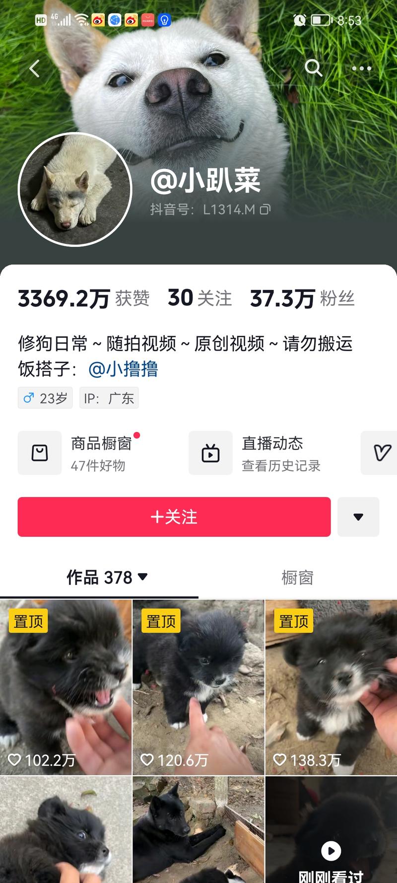 云养娃，云养狗，云养鸡，都….-网创风向标论坛-网络创业-网创圈