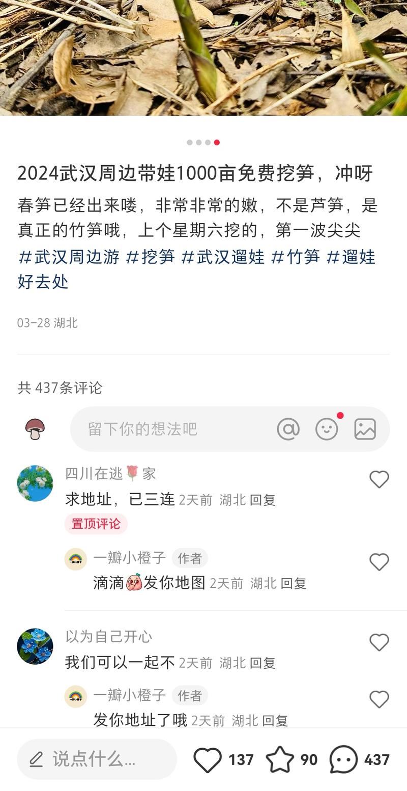 春天喜欢吃野菜的，发照….-网创风向标论坛-网络创业-网创圈