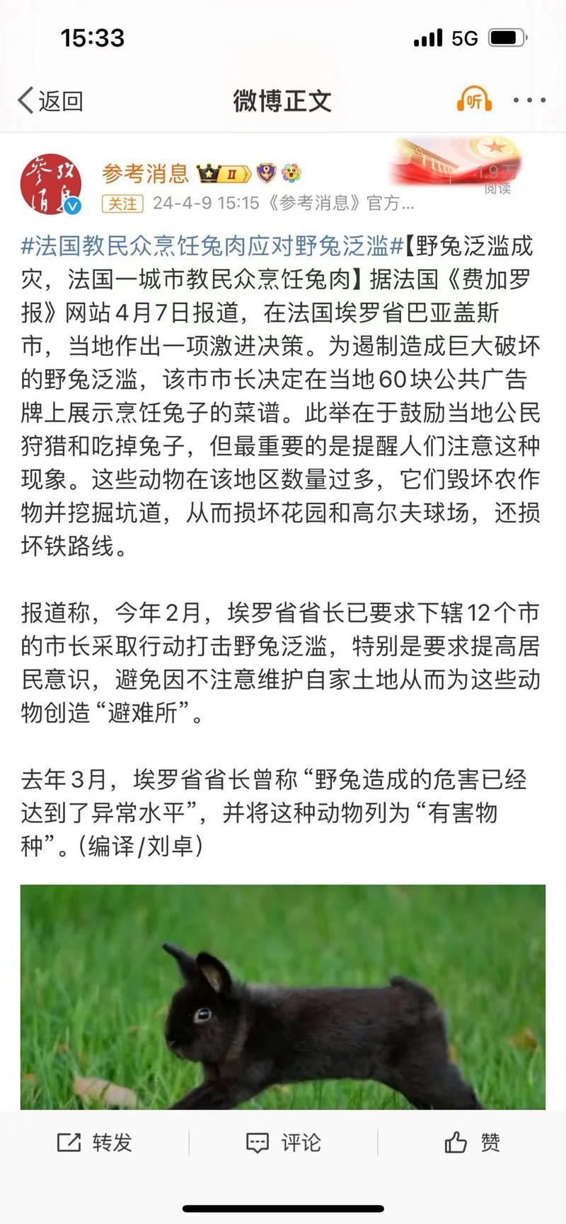 法国野兔泛滥，一城市教民众….-网创风向标论坛-网络创业-网创圈