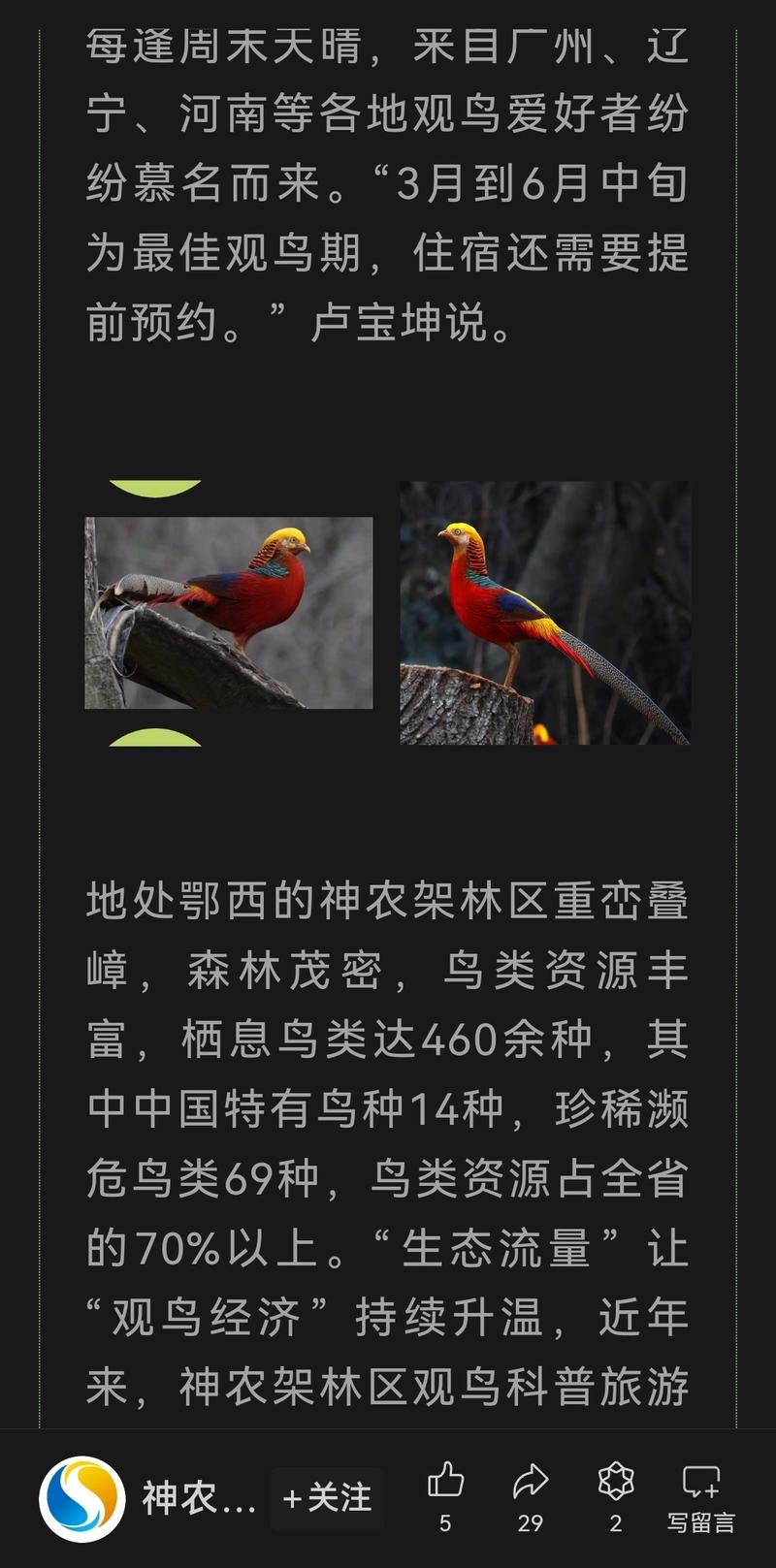 观鸟市场的特点是生态环境….-网创风向标论坛-网络创业-网创圈
