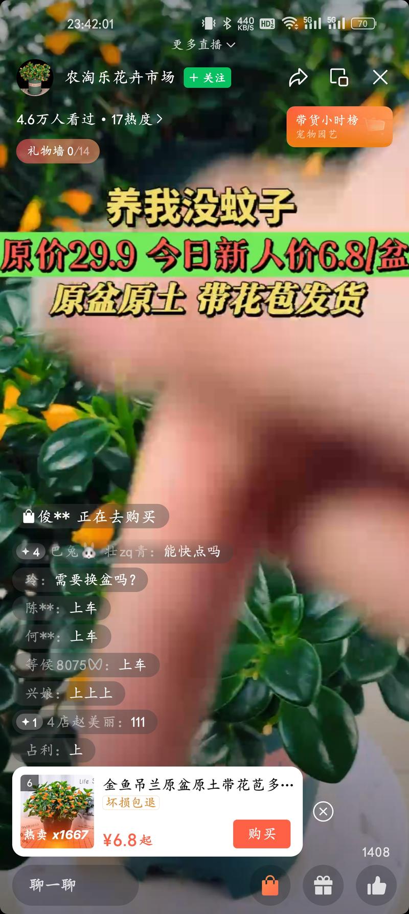 平台：视频号花卉纯直播间，….-网创风向标论坛-网络创业-网创圈