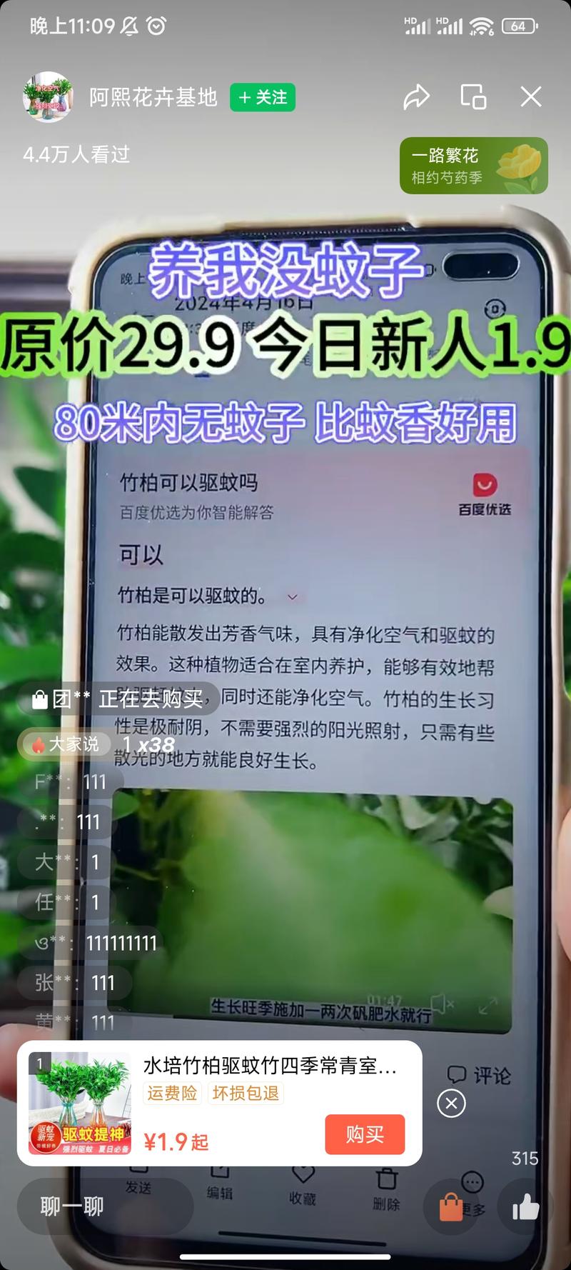 夏天到了，蚊子多了，这个….-网创风向标论坛-网络创业-网创圈