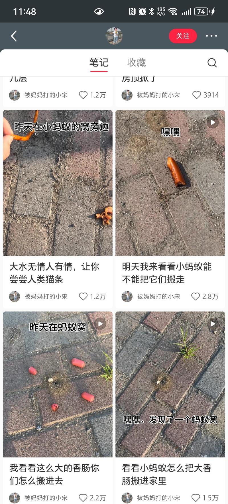 花样整活蚂蚁窝，连续剧联播….-网创风向标论坛-网络创业-网创圈