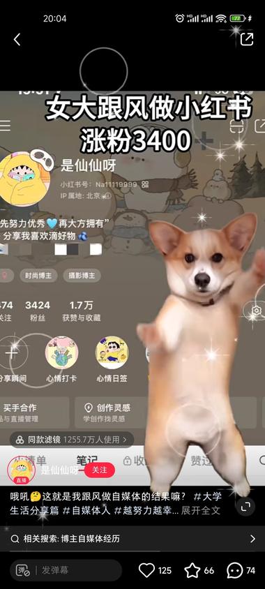 最近看到好几个用这一模版的….-网创风向标论坛-网络创业-网创圈