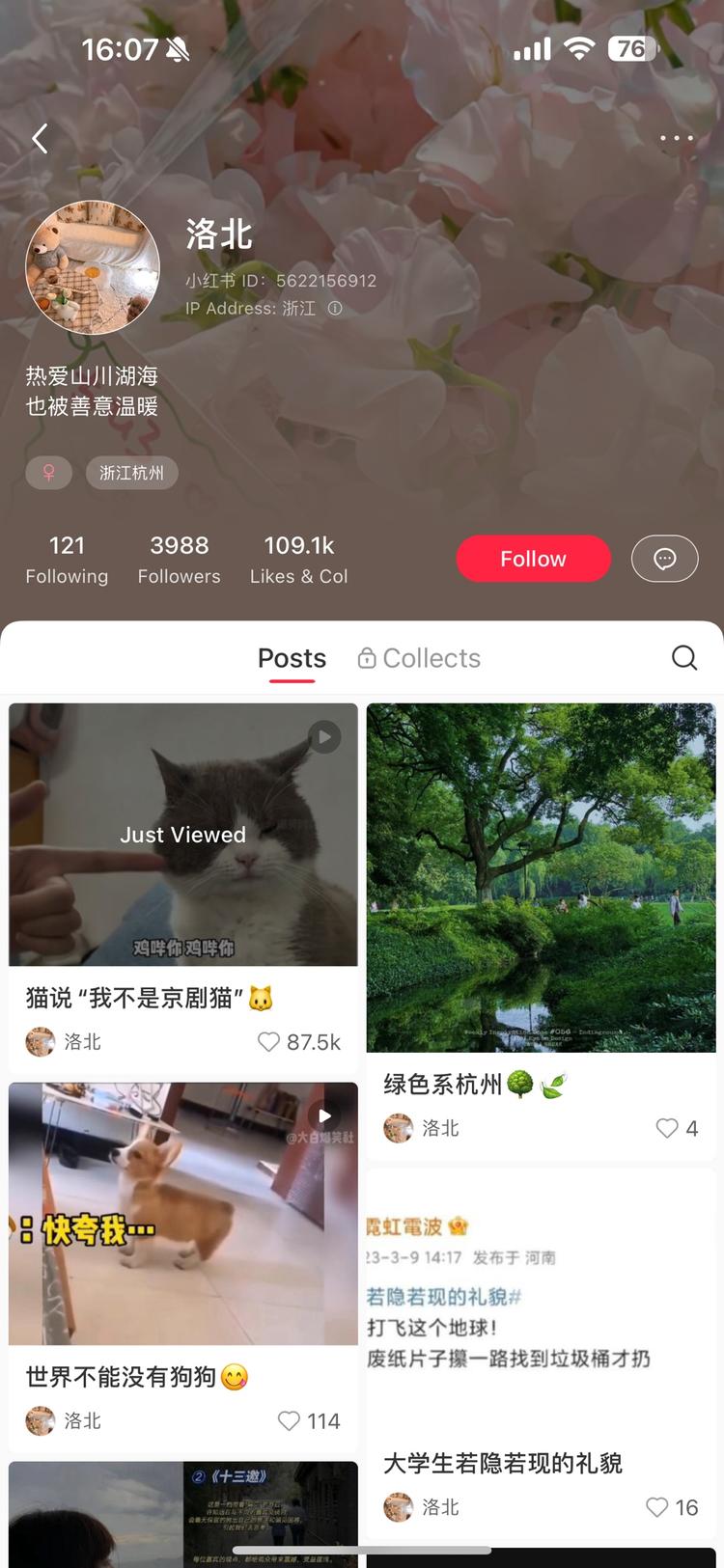 搞笑 猫咪视频 
播放量非常….-网创风向标论坛-网络创业-网创圈