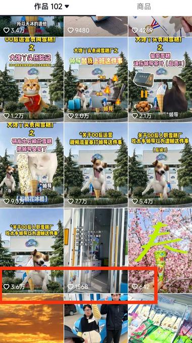 用meme猫、doge狗….-网创风向标论坛-网络创业-网创圈