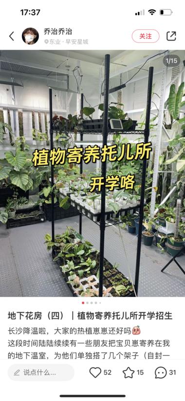 蓝海小众，多肉寄养。
 头部玩家年入已….-网创风向标论坛-网络创业-网创圈