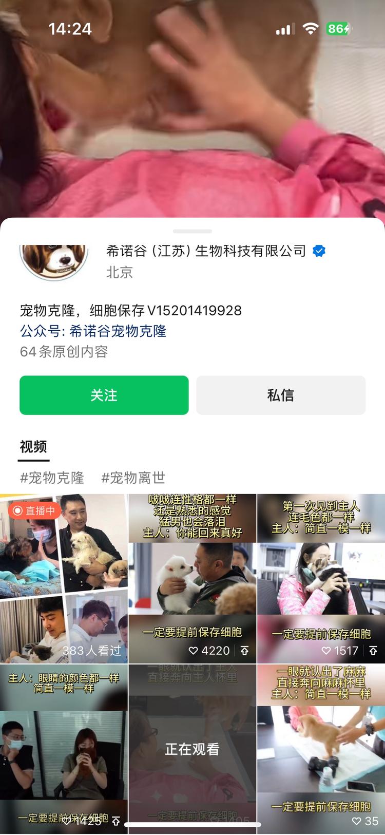 宠物克隆的视频，数据非常好。前些年宠….-网创风向标论坛-网络创业-网创圈