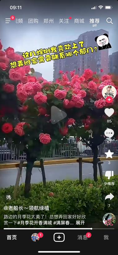 最近路边的花开的比较鲜艳，好多网友表示….-网创风向标论坛-网络创业-网创圈