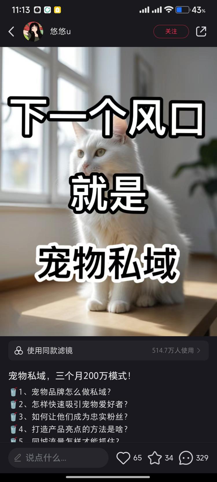 宠物私域，可以做培训赛道，也可以做陪….-网创风向标论坛-网络创业-网创圈