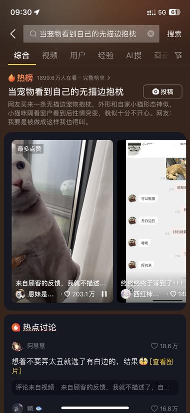 最近“无描边宠物抱枕”异常火爆
最近刷到….-网创风向标论坛-网络创业-网创圈