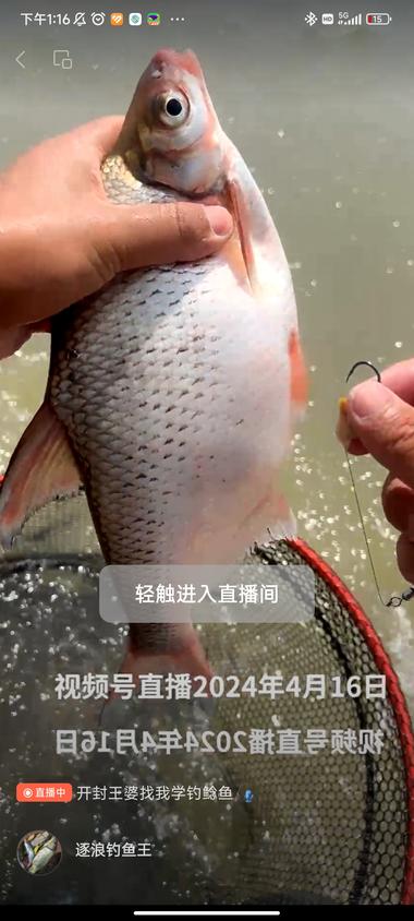 视频号好利润，低退货项目，直播内容钓….-网创风向标论坛-网络创业-网创圈