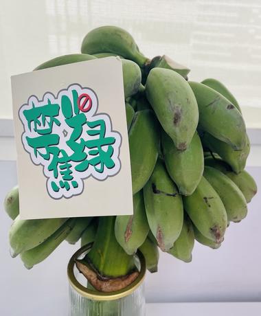 选品，禁止焦虑 火，实际上是一串绿色香….-网创风向标论坛-网络创业-网创圈
