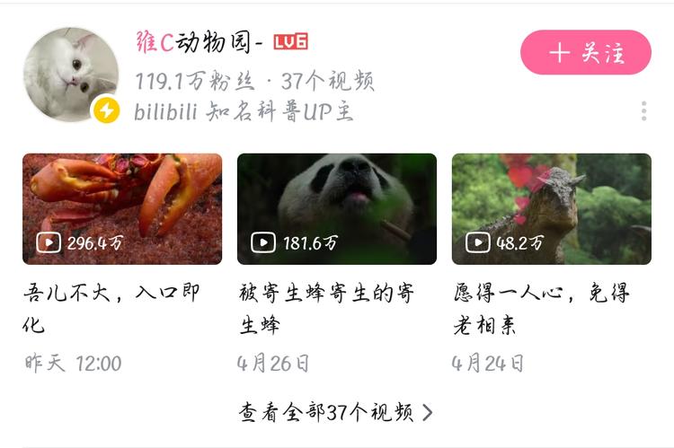 B站
去年就有关注过的，动物搞笑科普….-网创风向标论坛-网络创业-网创圈