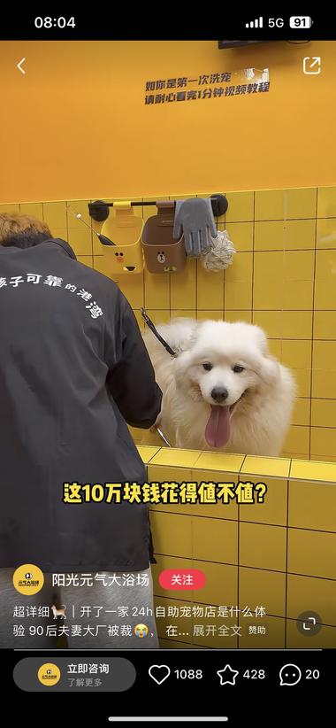 宠物赛道大火，那么细分赛道也必然火。….-网创风向标论坛-网络创业-网创圈
