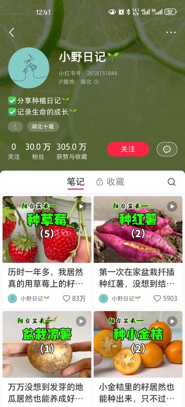 红书
植物盆栽类账号流量异常高，1….-网创风向标论坛-网络创业-网创圈