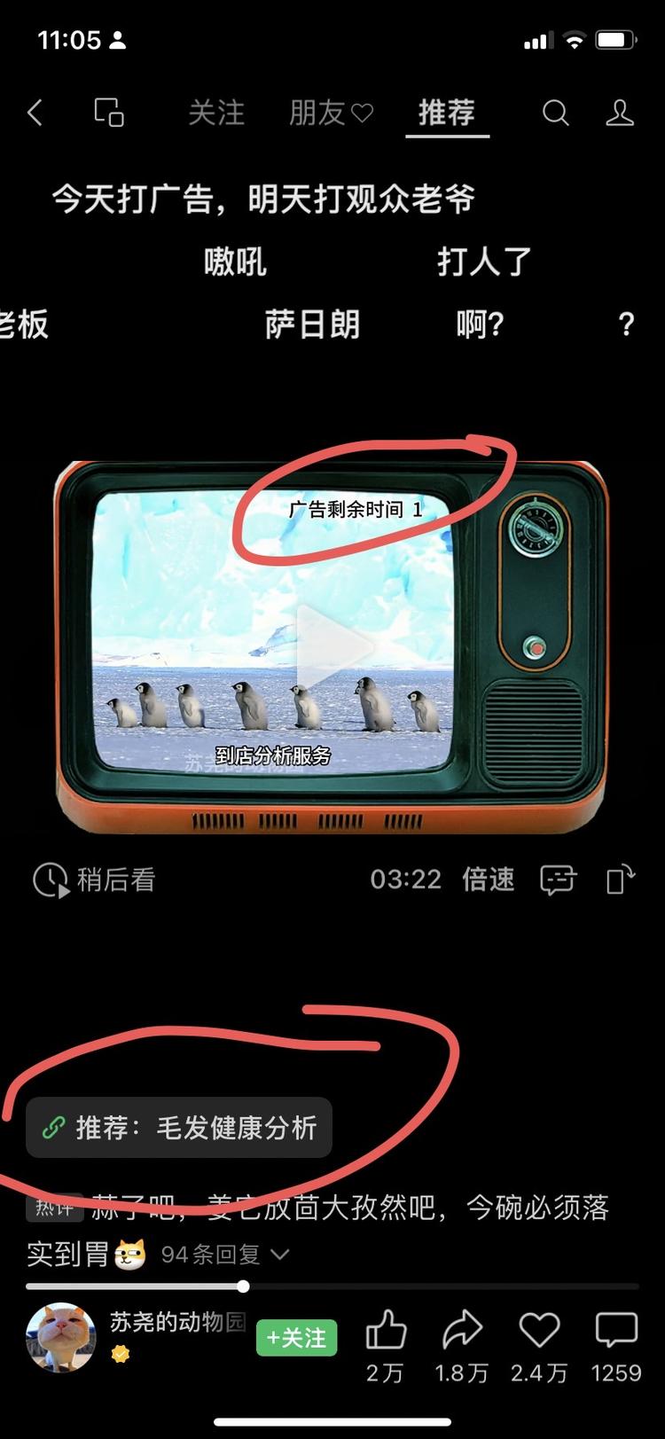 独特的视频植入广告-网创风向标论坛-网络创业-网创圈