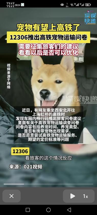宠物有可能准许上高铁，12306开始….-网创风向标论坛-网络创业-网创圈