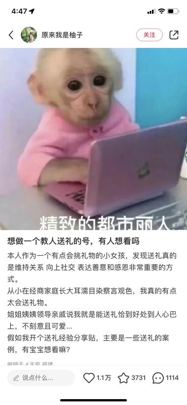一条笔记涨了1w粉
小红书起号找….-网创风向标论坛-网络创业-网创圈