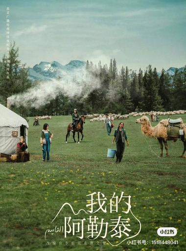 《我的阿勒泰》热播中，有阿勒泰旅游资….-网创风向标论坛-网络创业-网创圈