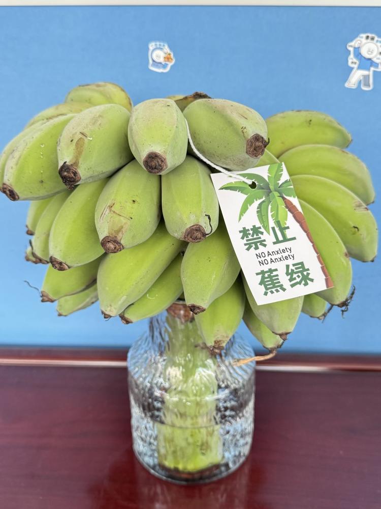 最近绿色香蕉很火，禁止蕉绿（焦虑），….-网创风向标论坛-网络创业-网创圈