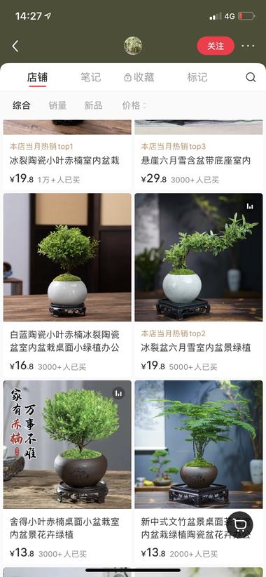 低价懒人盆栽高销售
笔记统一是开箱视….-网创风向标论坛-网络创业-网创圈