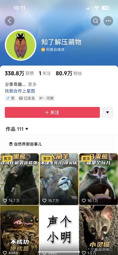 今天看到一个动物解说觉得很牛
满屏都….-网创风向标论坛-网络创业-网创圈