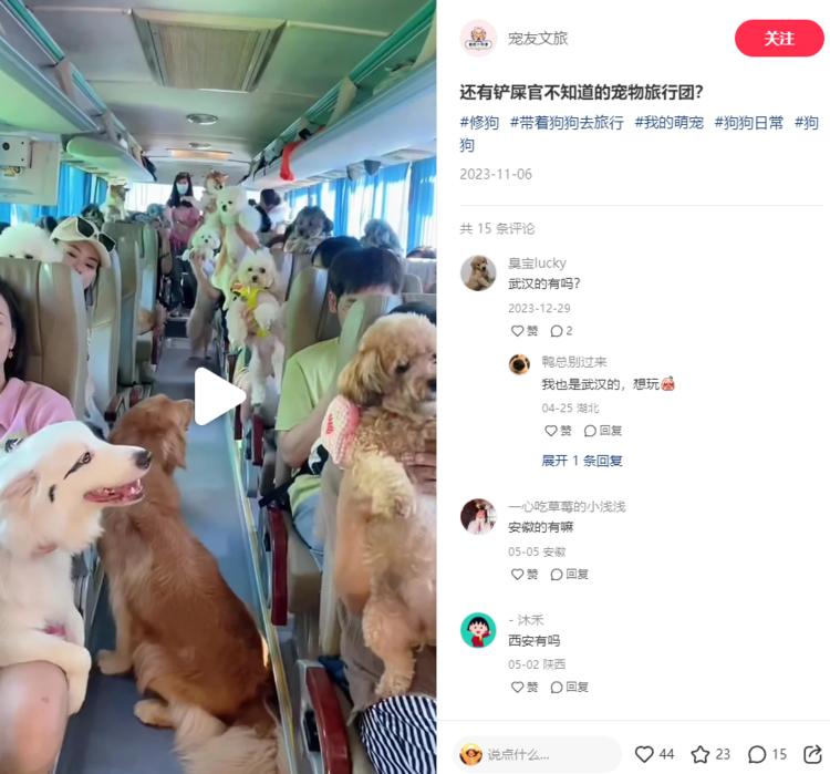 小红书上面，带着宠物去旅行，可以做….-网创风向标论坛-网络创业-网创圈