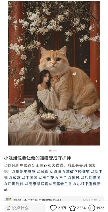 在小红书上，无意中刷到AI高端绘画定….-网创风向标论坛-网络创业-网创圈