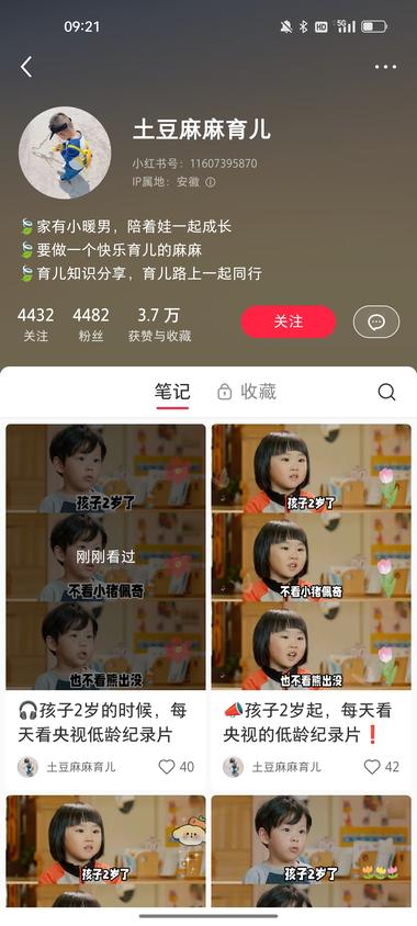 最近刚起的一个号，数据涨粉都不错，评….-网创风向标论坛-网络创业-网创圈