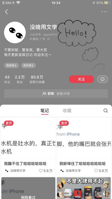 一个是没啥用文学，专门输出搞笑的短句….-网创风向标论坛-网络创业-网创圈