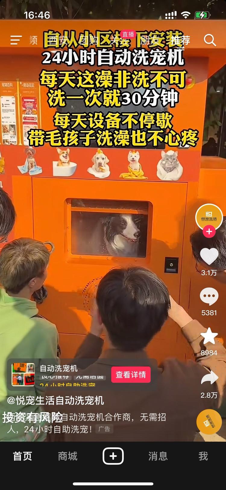 宠物自助洗澡机，宠物店洗洗一次10….-网创风向标论坛-网络创业-网创圈