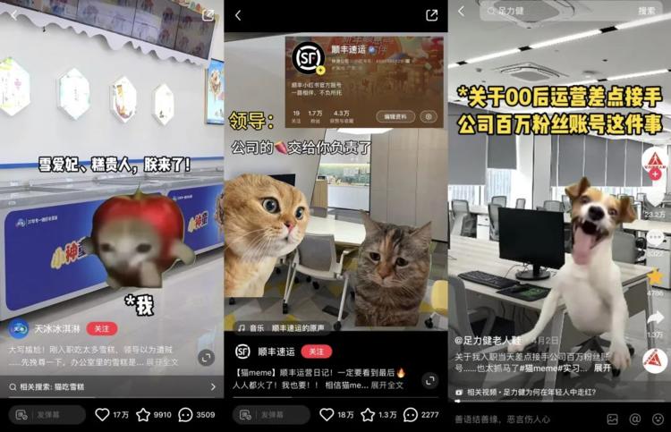 最近刷到“00后运营”+“猫mem….-网创风向标论坛-网络创业-网创圈