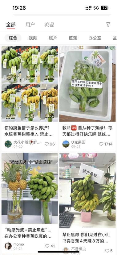 小红书的农产品新思路
适合有一手货….-网创风向标论坛-网络创业-网创圈