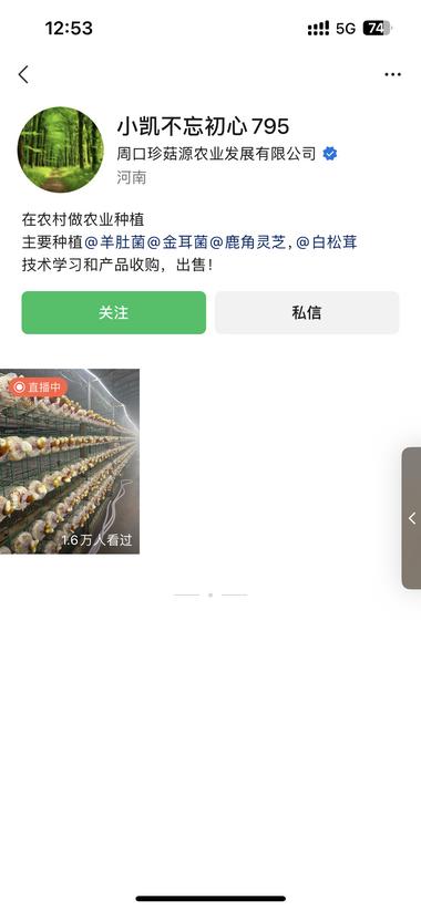 鹿角灵芝种植和回收，利用农村空房，种….-网创风向标论坛-网络创业-网创圈