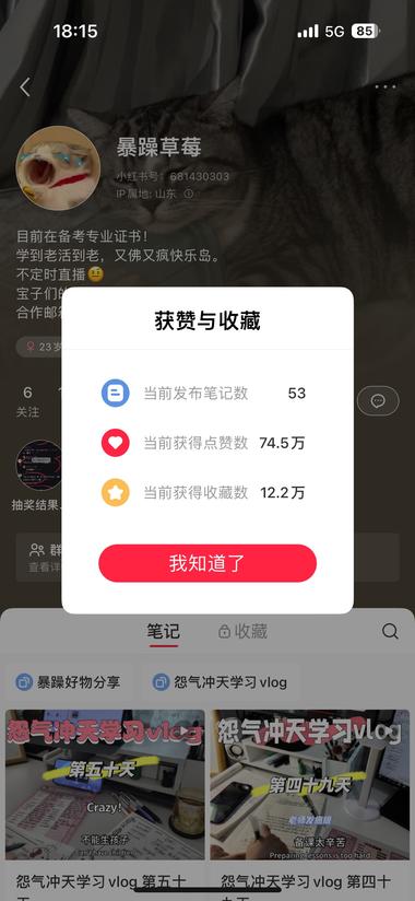 做备考过程的vlog，视频画面简洁，….-网创风向标论坛-网络创业-网创圈