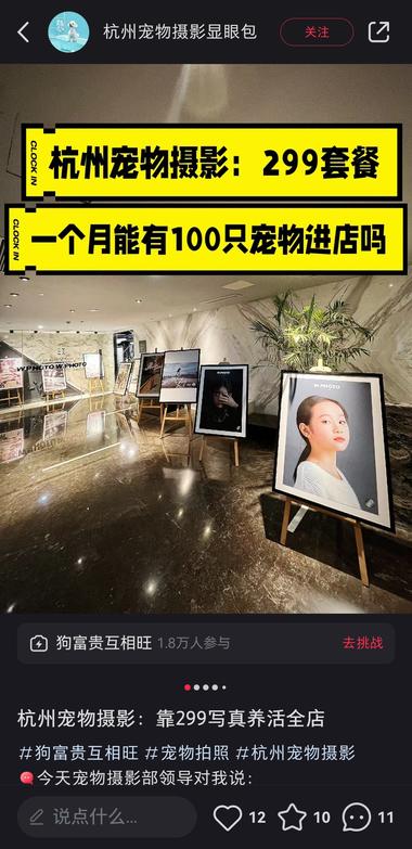 线下摄影的细分：给宠物拍写真

….-网创风向标论坛-网络创业-网创圈
