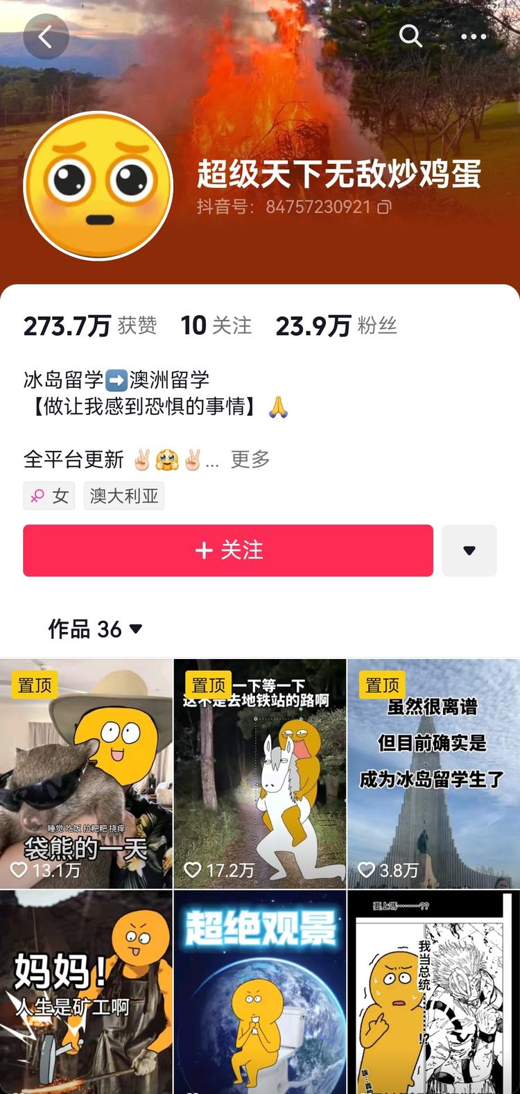 国外有趣的冷知识搭配漫画形式，把留学….-网创风向标论坛-网络创业-网创圈