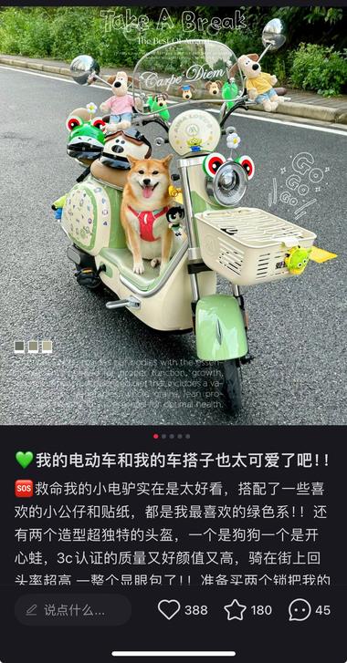 看到有人提到电动车装饰
去小红书搜了….-网创风向标论坛-网络创业-网创圈