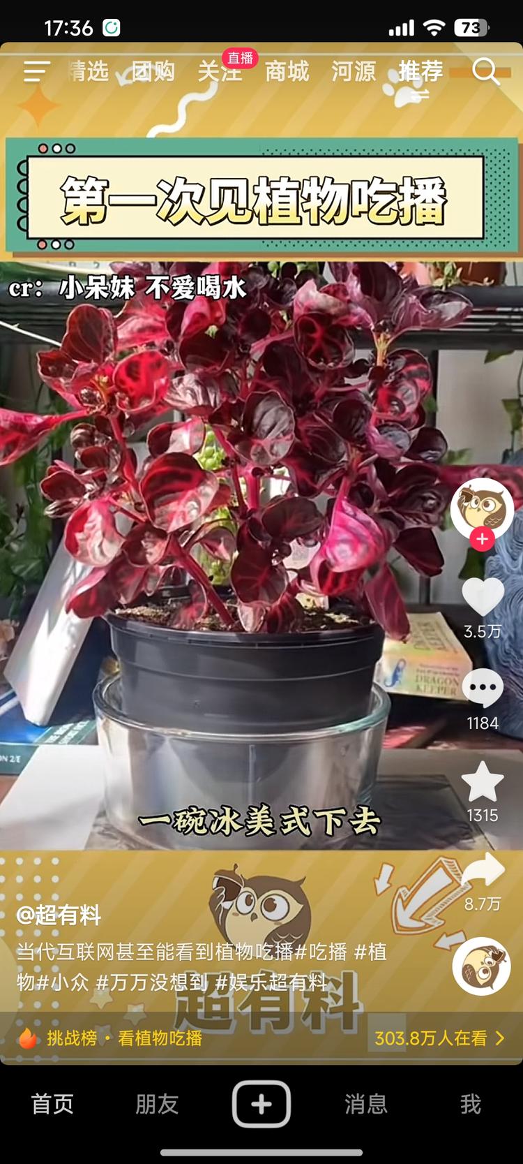 植物吃播，新的吸引点….-网创风向标论坛-网络创业-网创圈