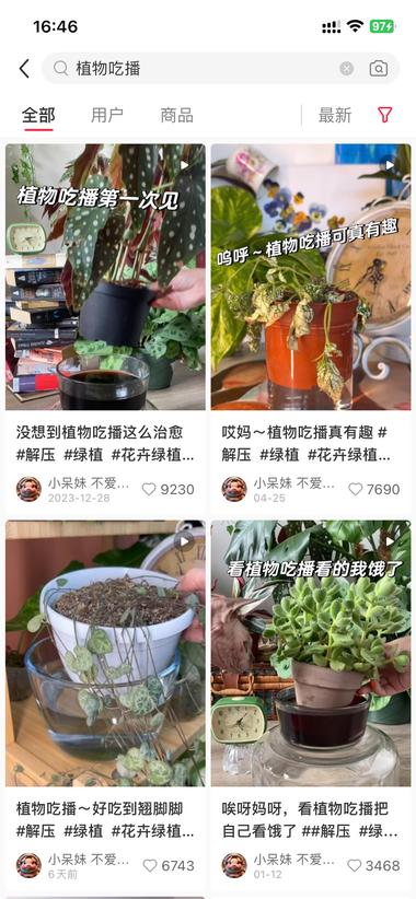 ?植物吃播/植物喝水
大家都喜欢看吃….-网创风向标论坛-网络创业-网创圈